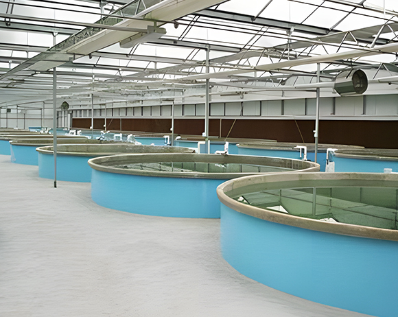 Aquaculture Oxygen Generator 