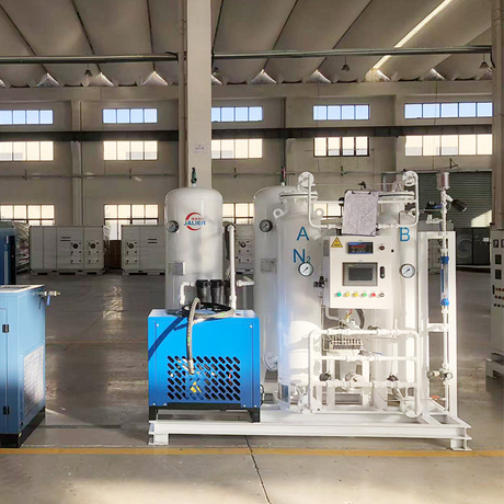 Professional Customization 20Nm3/hr 99.99%purity psa nitrogen generator for Chemical industry